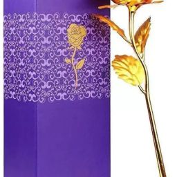 nyarogift Artificial Flower, Soft Toy, Message Bottle Greeting Card Greeting Card image 2