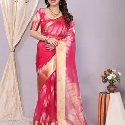 VILLAGIUS Ombre Dyed Organza Designer Saree-28