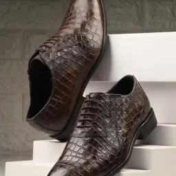 Carlo Romano Men's Brown Oxford Shoes-image-27