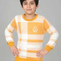 Cantabil Boy's Mustard Self Design Full Sleeves Casual Sweater-image-35