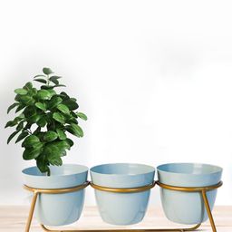 Nymph Blue 6 Pieces Planters With Stand-picture-21