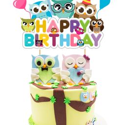 Zyozi Owl Birthday Cake Topper Colorful Owl Cake Topper for Birthday Multicolour-19