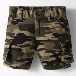 US Polo Assn Cotton Woven Shorts with Camouflage Print - Dark Green-picture-44
