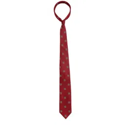 Alvaro Castagnino Red Woven Tie-picture-37