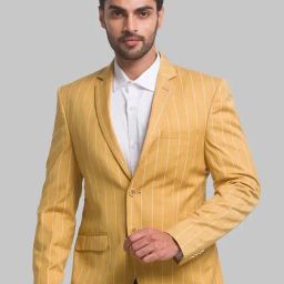 Park Avenue Yellow Regular Fit Striped Blazer-image-51