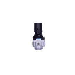 Janatics Regulator 12.7 mm (1/2 Inch) R15634-12