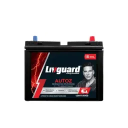 Livguard AutoZ 60 Ah Automotive Battery for Auto, Three Wheelers, LGM F0 AR60 L-43