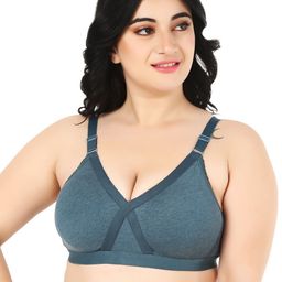 Designer Bugs Women Plus Size Full Coverage Non-Wired and Non Padded Bra-9