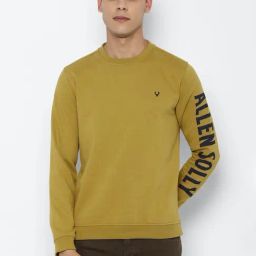 Men Yellow Crew Neck Full Sleeves Casual Sweatshirt-image-43