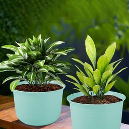 Kuber Industries 2Pcs Blue Textured Planters With Plate-42