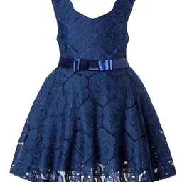 Wish little Girls Lace Self Design Fit and Flare Dress-image-71