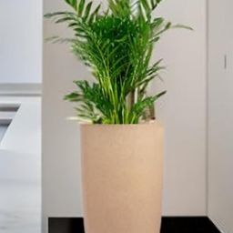 go hooked 18 Inch Tower Pots with Saucer Tray Planter image 3