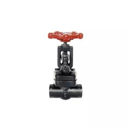 Sant 1½inch Forged Steel Globe Valve FSV 2B-image-69
