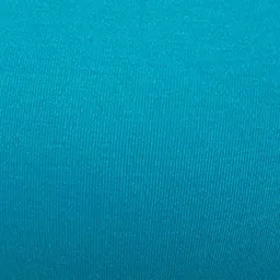 Clovia Teal Non Wired Non Padded Full Coverage Bra image 5