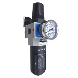 Mercury Filter Regulator with Gauge MFR 04-4