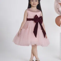 Ministitch Applique Net Fit & Flare Dress-image-33