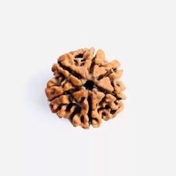 GenZcomplex Unisex Six Mukhi Contemporary Rudraksha Pendant-41