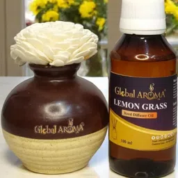 GLOBAL AROMA Lemon Grass Fragracne Ethenic Flower Pot Reed Diffuser Set-12