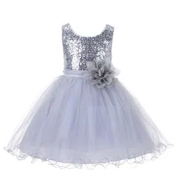 Wish little Net A-Line Dress-4