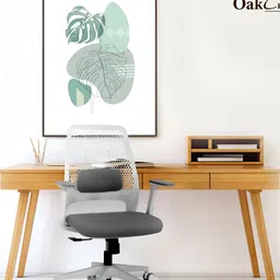 Oakcraft Grey Mesh Adjustable Seat Height Study Arm Chair-image-77