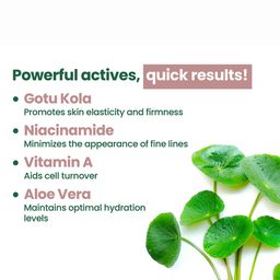 TLC 365 Gotu Kola Anti Ageing Night Cream - 50 g image 4