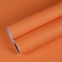 SUNBIRD Unisex Orange Decals and Stickers-image-102