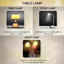 shopee Lamp with touch sensor - battery & USB powered Study Lamp Table Lamp image 2