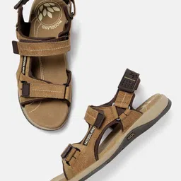 Woodland Men Camel Brown Solid Leather Sandals-picture-39