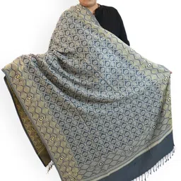 Vrinde Women Ethnic Motifs Printed Shawl-picture-4