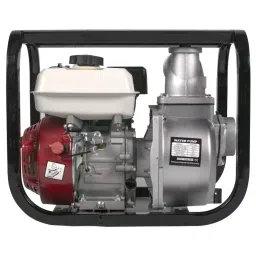 Really 4 Stroke 6.5 HP Water Pump 3600 RPM, MTS-WP30R-picture-22