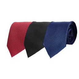 CALIXTO Men Pack Of 3 Woven Design Broad Tie-picture-32