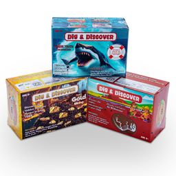 Kimon Toys - Dig & Discover - Box Combo 4 Dino+Gold+Shark-image-97