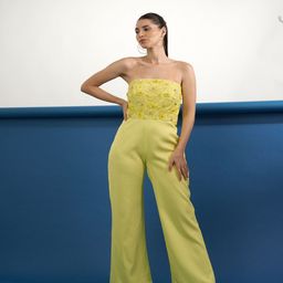 Parneet Gujral Strapless Basic Jumpsuit-picture-42