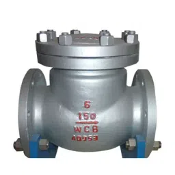 Leader Cast-Carbon Steel Swing Check Valve 50 MM 30 BAR CL-150-image-37