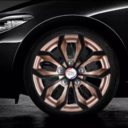 Auto Pearl Rev01 14 in 35.56 cm (14 Inch) ch PPress Type Wheel Cap Hubcap with Retention Ring|Glossy Gold Rev Wheel Cover for Tata Indigo (Set of 4)-image-96