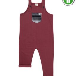 Turtledove London Knit Sleeveless Solid Dungaree - Maroon-image-88