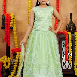 Sangria Girls Sea Green Net Lehenga Choli-image-97