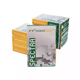 Trident Spectra 75 GSM A4 Size Multipurpose Copier Paper 500 Sheets, White (Pack of 10 Ream)-image-12