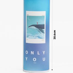 QIPS Cylindrical Pencil Box with Calculator, Mirror & Whiteboard -Whale image 2