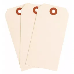 BRADY Plain 30 Points Manila Blank Shipping Tag, 35RZ41 (Pack of 1000)-image-9