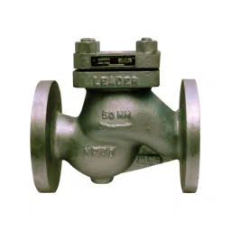 Leader 5 Inch,125 mm Cast Carbon Steel Horizontal Lift Check Valve CCS 011-picture-10