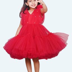 Modish Net Fit & Flare Dress-13