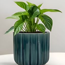 LASAKI Flona Blue Ceramic Planters-image-34