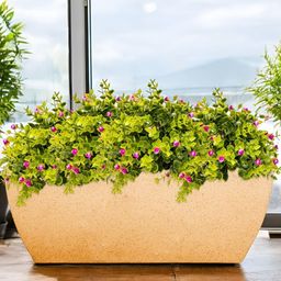 Go Hooked Brown & Green Rectangular Curve-Shaped Durable Planter-59