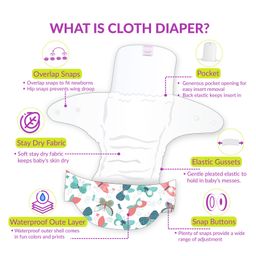 Bembika Cloth Diaper with 5 Layered Bamboo Insert Butterfly Print - Multicolor image 4