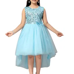BAESD Embellished Net Fit & Flare Dress-17