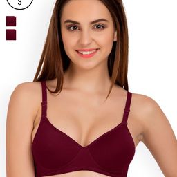 Tweens Burgundy Pack of 3 Full-Coverage T-shirt Bras TW91301-image-76