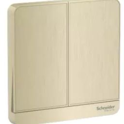 schneider electric Schneider Avataron Cover Plate For Switch 2 Rocker Metal Gold Hairline-picture-37