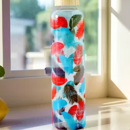 UMAI Red & Blue Single Glass Solid Water Bottle-3