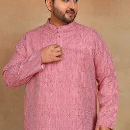 Sztori Plus Size Striped Mandarin Collar Straight Short Kurta-image-83